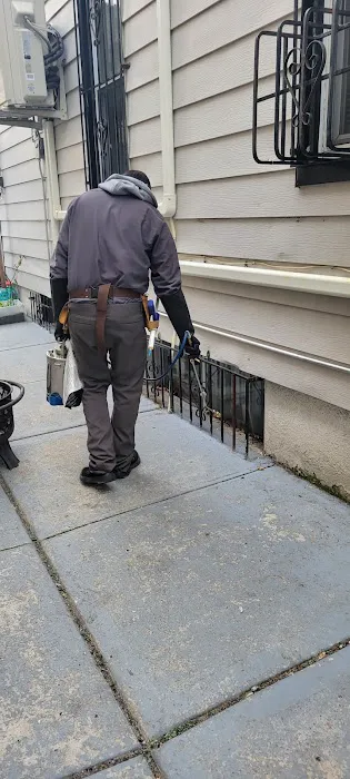 Infestation Protection Pest Control Picture 5