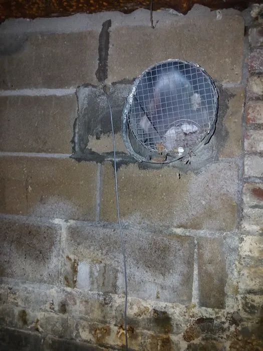 Infestation Protection Pest Control Picture 4