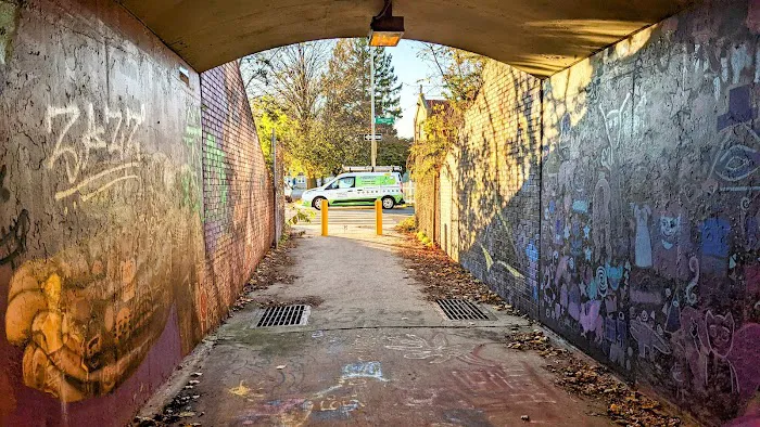 Citi Termite Control Inc Picture 1