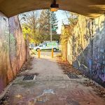 Citi Termite Control Inc