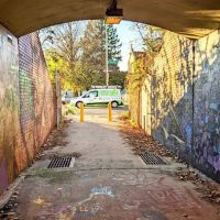 Citi Termite Control Inc ico