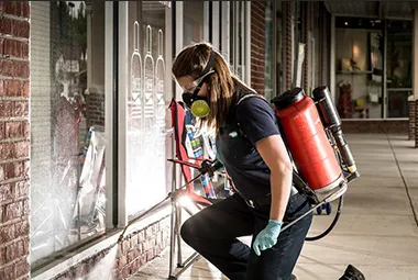 Advance Pest Control Services Picture 9