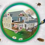 Advance Pest Control Services