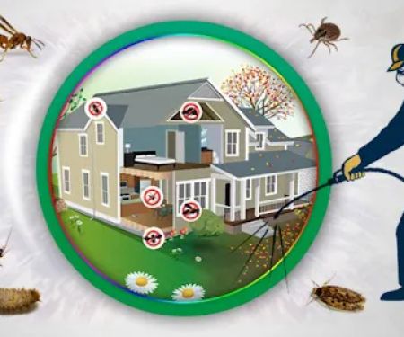 Advance Pest Control Services