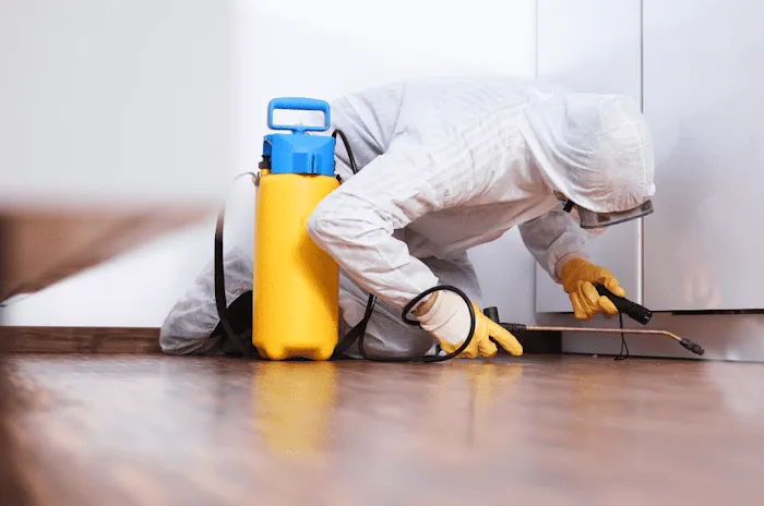 Advance Pest Control Services Picture 6