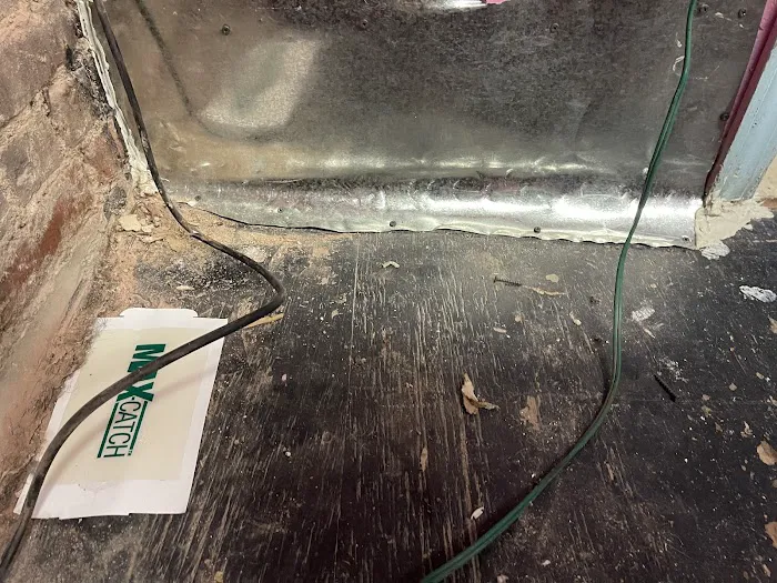 Dreams Pest Control Picture 10