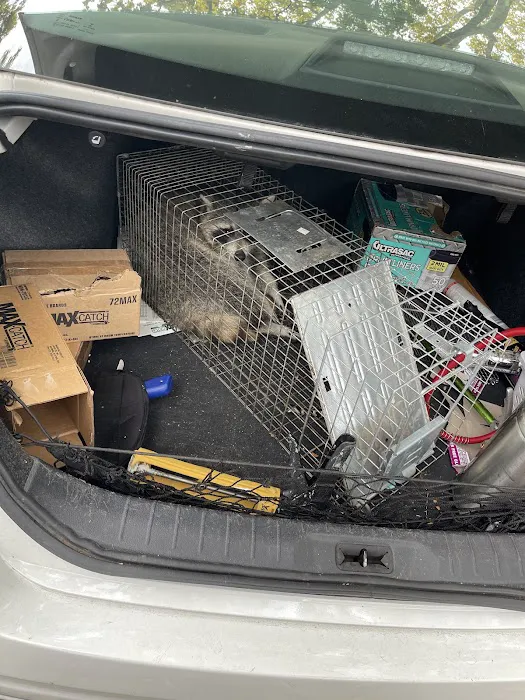 Dreams Pest Control Picture 8