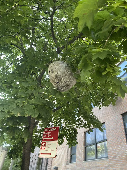 Dreams Pest Control Picture 6