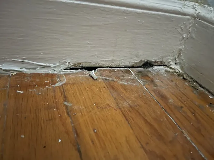 Dreams Pest Control Picture 7