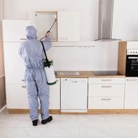 Advance Pest Solutions Inc. ico