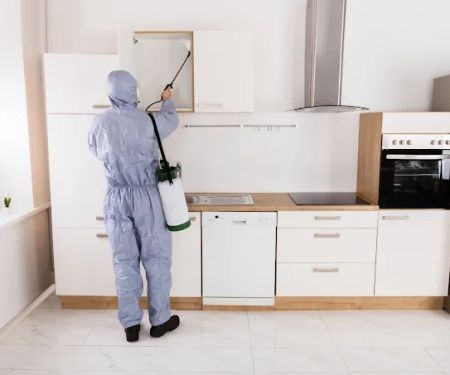Advance Pest Solutions Inc.