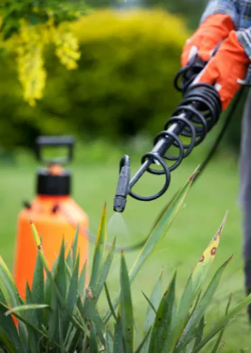 Advance Pest Solutions Inc. Picture 4