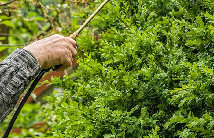 Advance Pest Solutions Inc. Picture 10