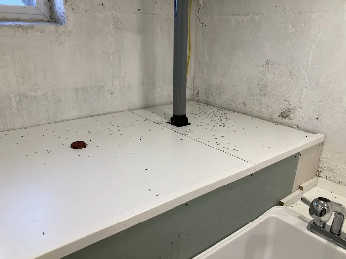 Terminix Commercial Picture 7