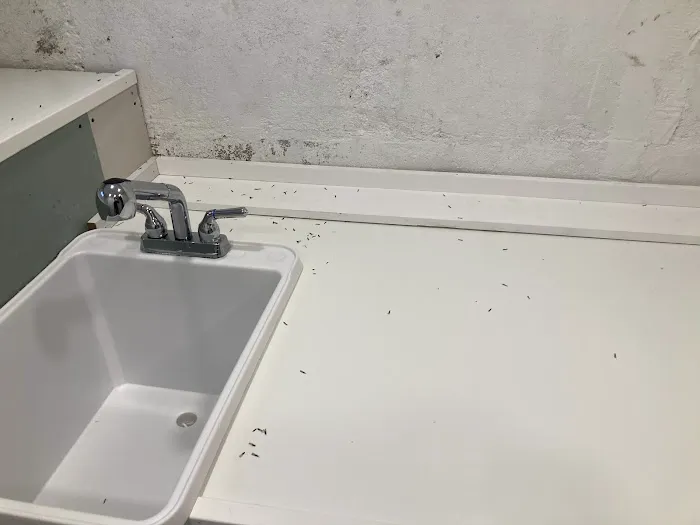 Terminix Commercial Picture 2