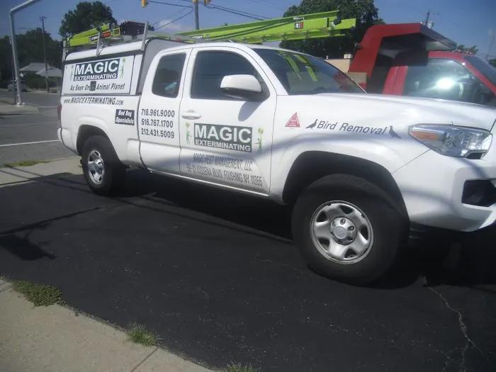 Magic Exterminating Picture 2