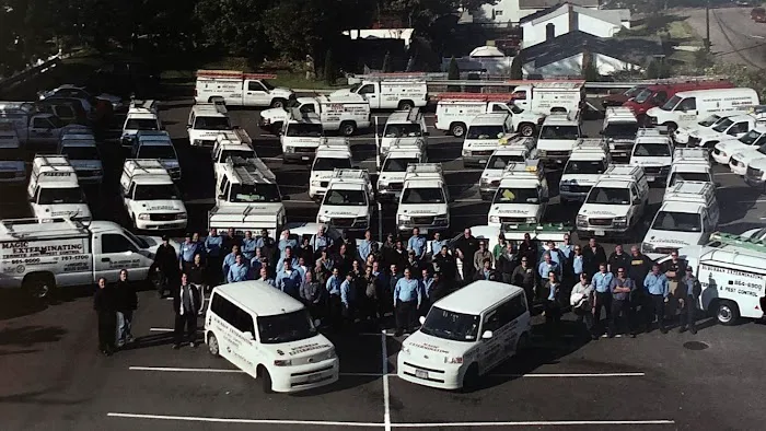 Magic Exterminating Picture 9