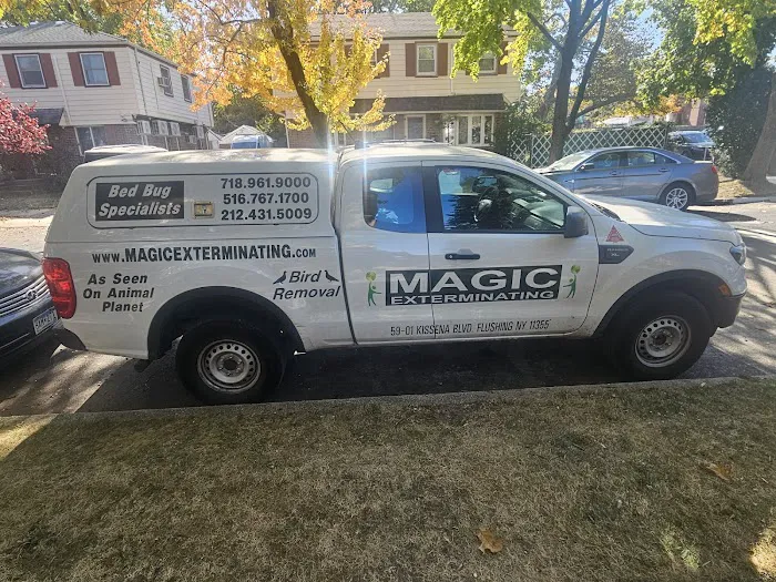 Magic Exterminating Picture 8