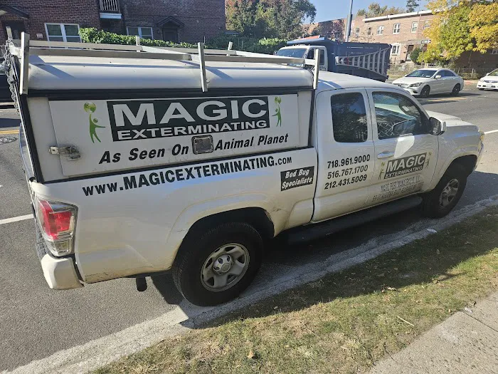 Magic Exterminating Picture 7