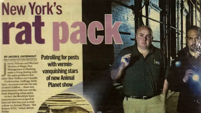 Magic Exterminating Picture 4