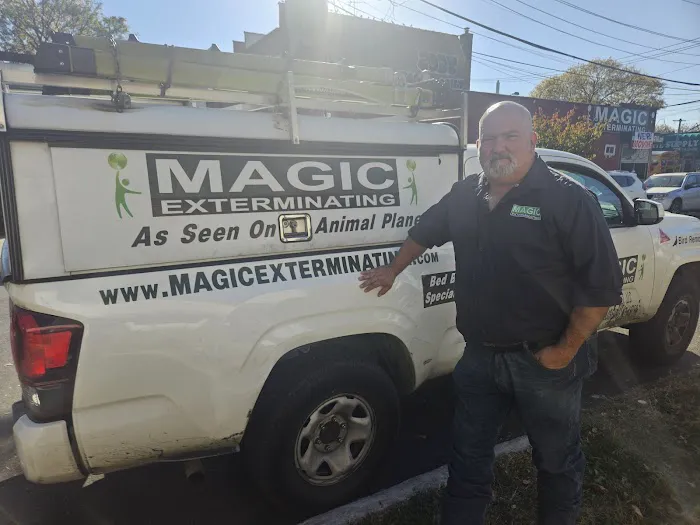 Magic Exterminating Picture 5