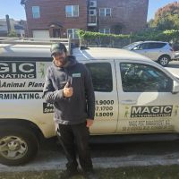 Magic Exterminating ico