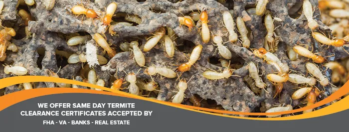 John J. McCann Exterminating Company Picture 8