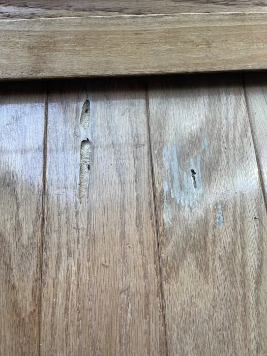 Pride Pest Control Picture 8