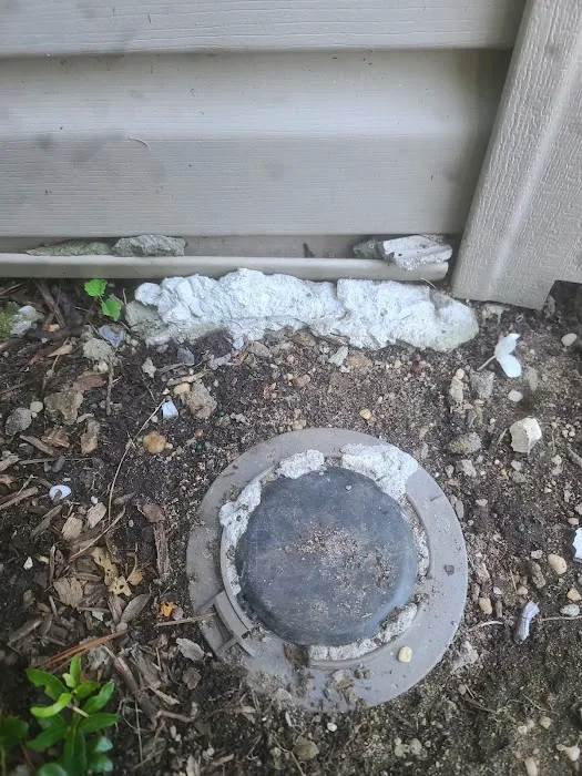 Pride Pest Control Picture 5