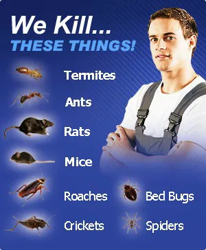 Lords Pest Control Inc Picture 1