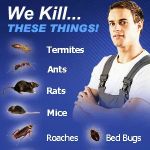Lords Pest Control Inc