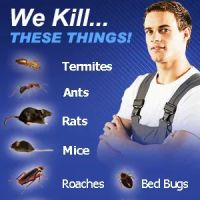 Lords Pest Control Inc ico