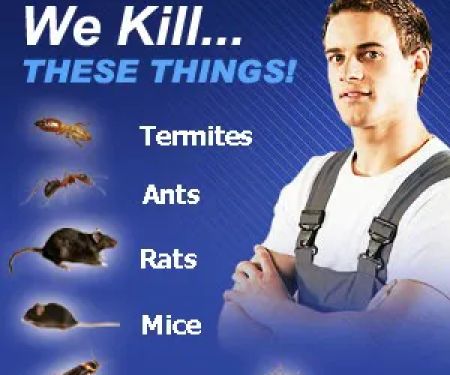 Lords Pest Control Inc
