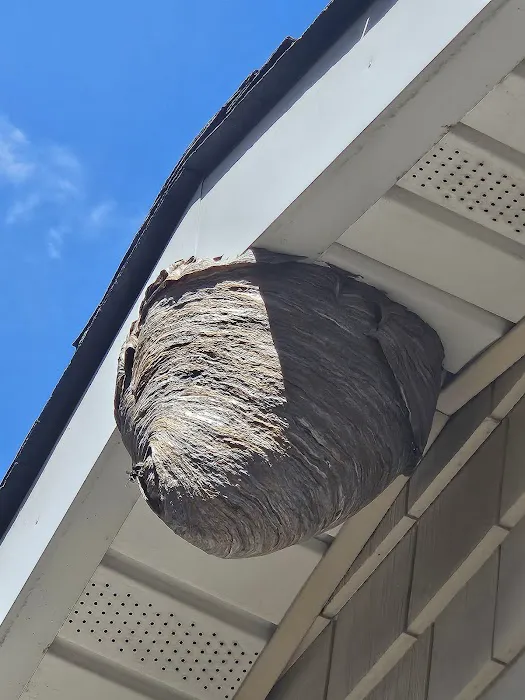 Stars exterminator inc Picture 9