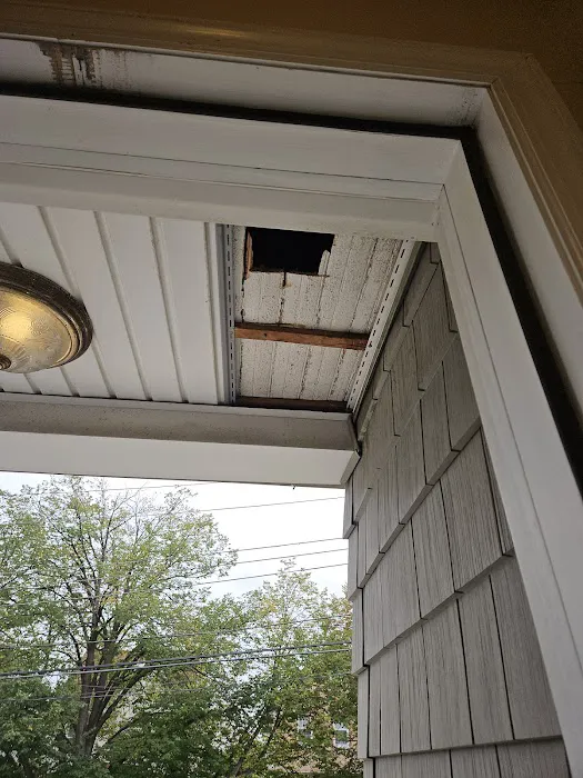 Stars exterminator inc Picture 6