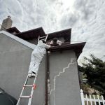 Pests Be Gone Pest Control