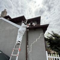 Pests Be Gone Pest Control ico