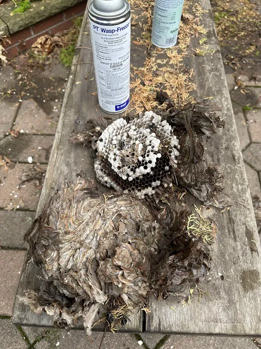 Pests Be Gone Pest Control Picture 6