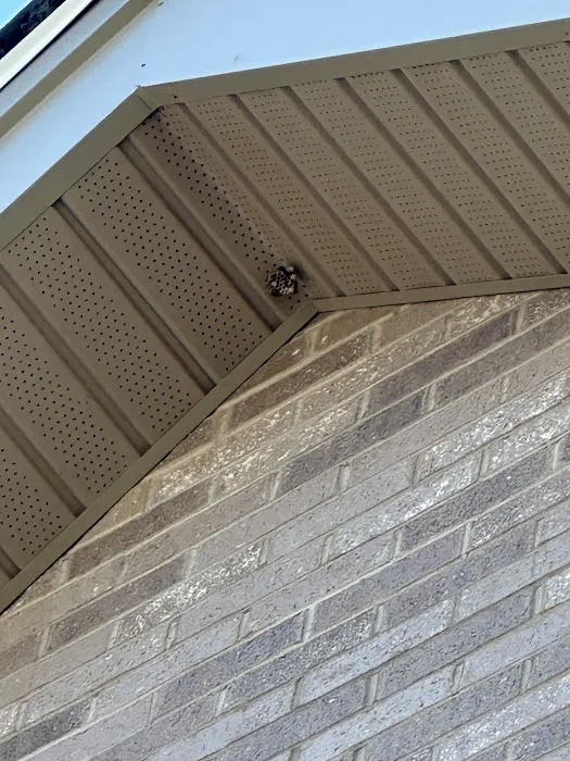 Pests Be Gone Pest Control Picture 10