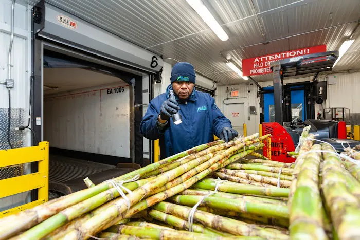 Hi-Level Pest Services Picture 2