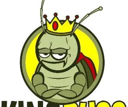 King Bugs Pest Control, Corp.