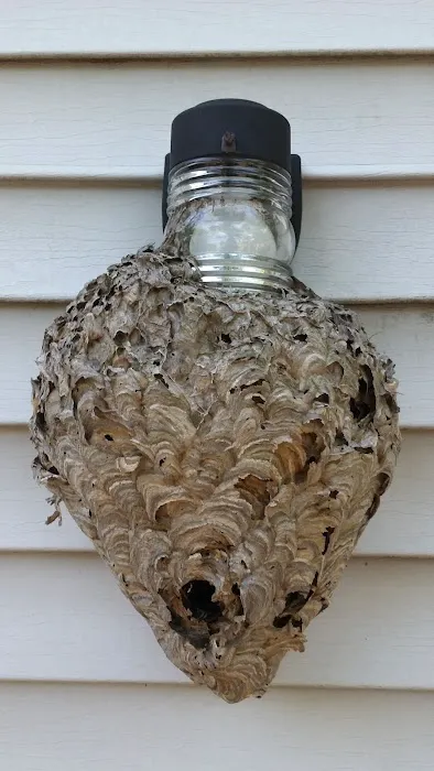 Secure Pest Services Picture 8