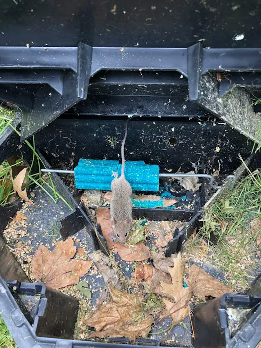 Secure Pest Services Picture 4