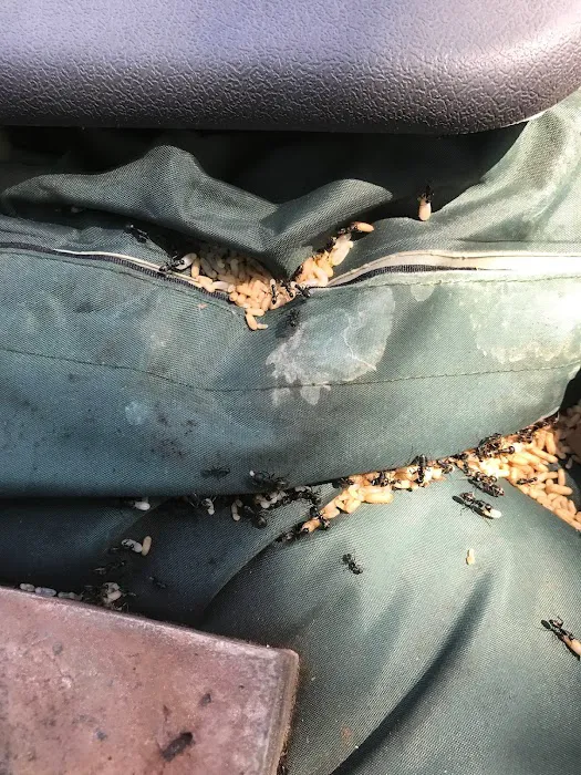 Secure Pest Services Picture 9