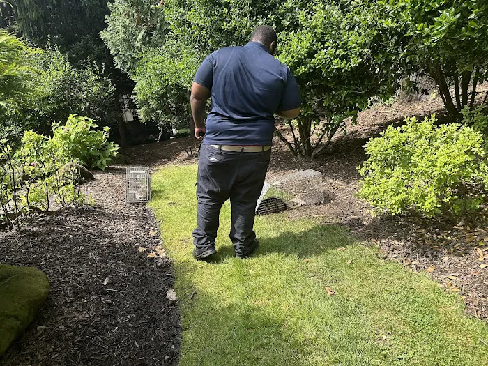 Excel Pest Services Picture 4