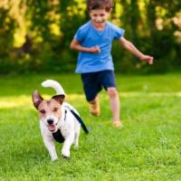 Excel Pest Services ico