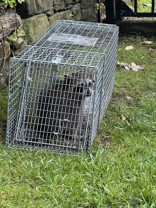 Excel Pest Services Picture 9