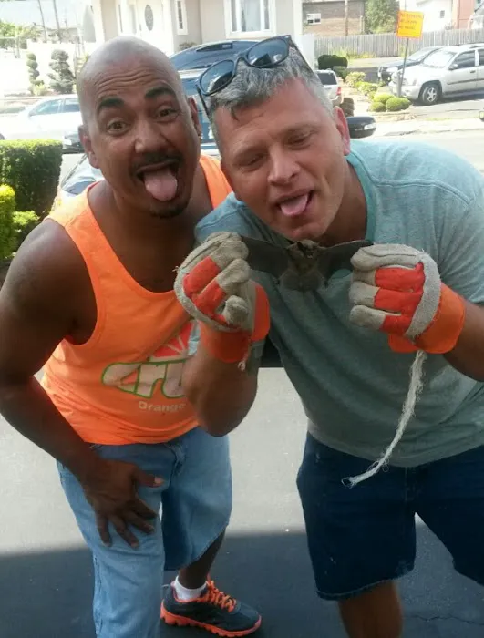 Superb Pest Control Picture 2