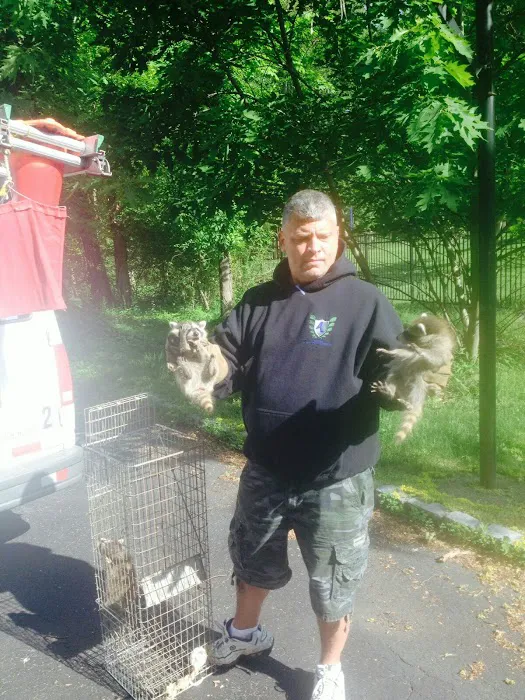 Superb Pest Control Picture 8