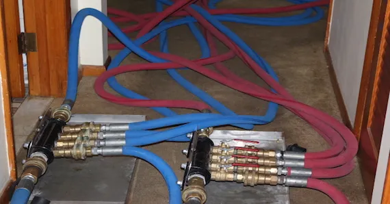 Bowco Labs Pest Control Cranford Picture 5